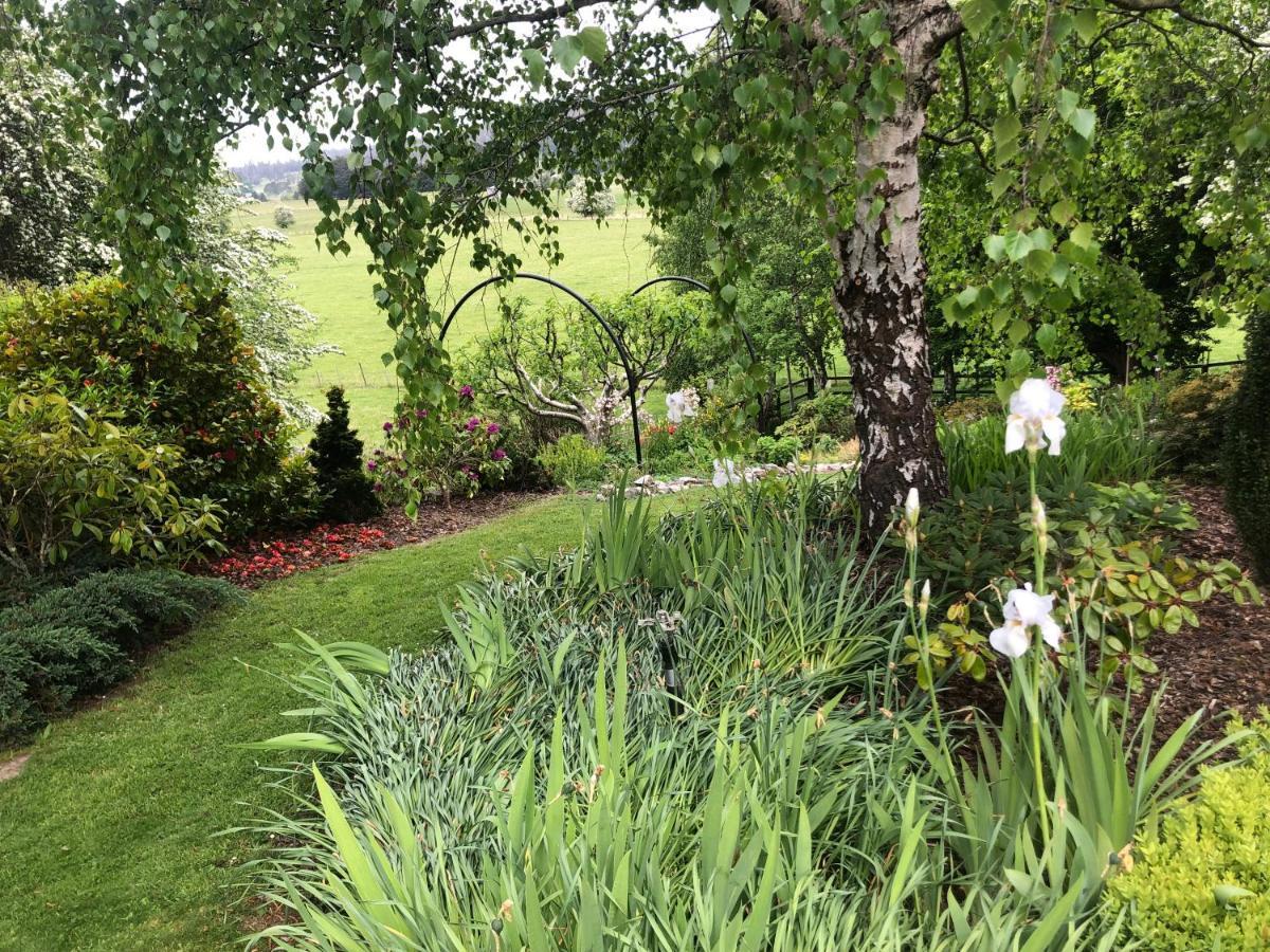 فندق Mole Creek Hideaway المظهر الخارجي الصورة